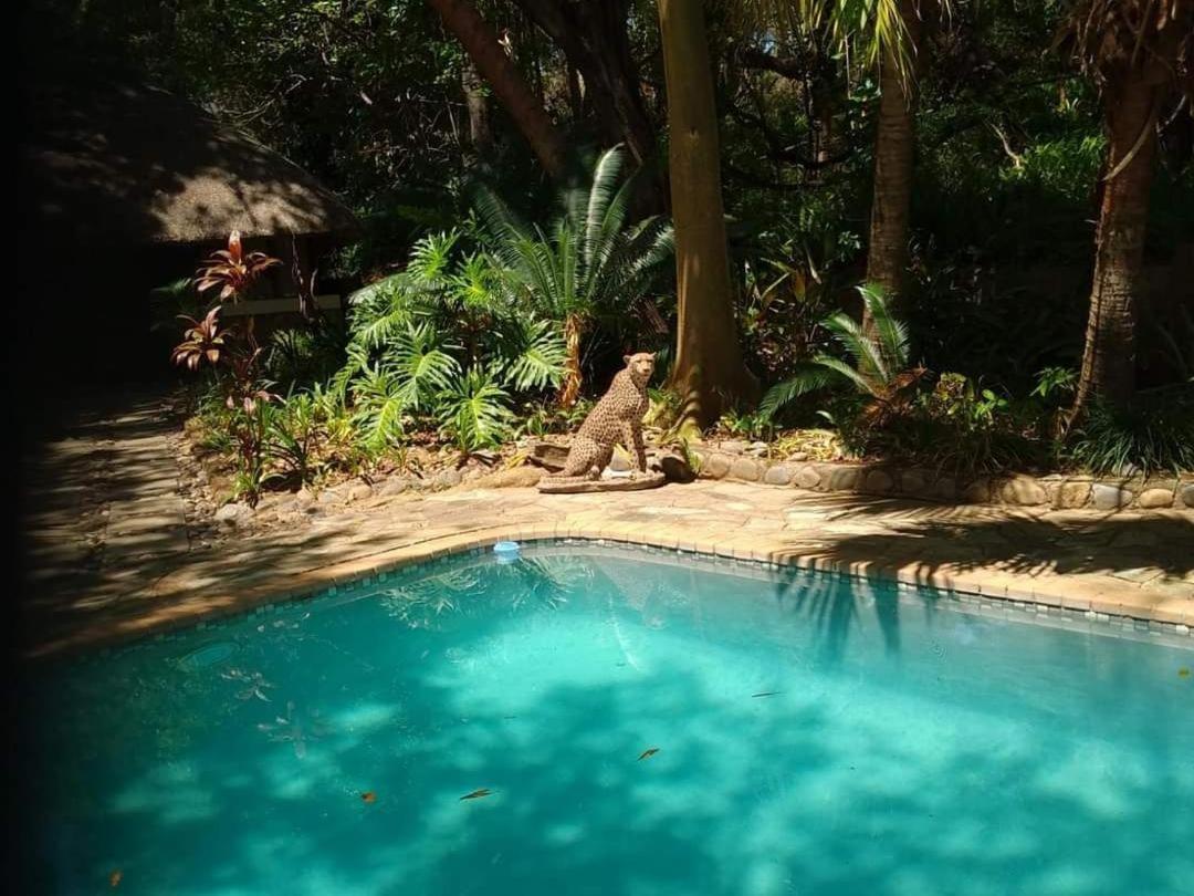 Paradise River Lodge Hoedspruit Extérieur photo